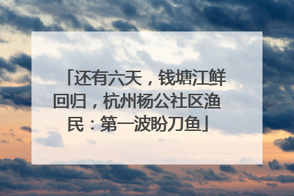 还有六天，钱塘江鲜回归，杭州杨公社区渔民：第一波盼刀鱼