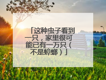 这种虫子看到一只，家里很可能已有一万只（不是蟑螂）