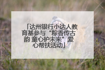 达州银行小达人教育基参与“粽香传古韵 童心护未来”爱心帮扶活动