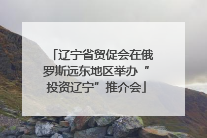 辽宁省贸促会在俄罗斯远东地区举办“投资辽宁”推介会