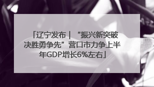 辽宁发布｜“振兴新突破 决胜勇争先”营口市力争上半年GDP增长6%左右
