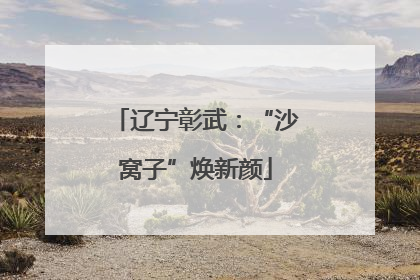 辽宁彰武：“沙窝子”焕新颜