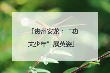 贵州安龙：“功夫少年”展英姿
