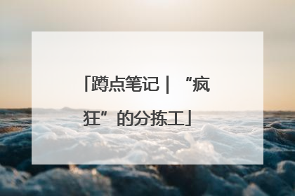 蹲点笔记｜“疯狂”的分拣工