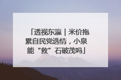 透视东瀛｜米价拖累自民党选情，小泉能“救”石破茂吗