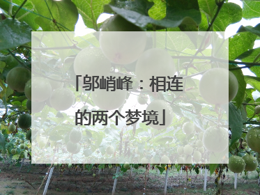 邬峭峰：相连的两个梦境