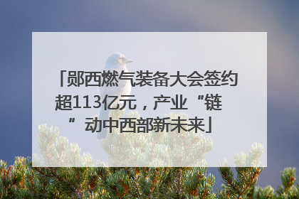 郧西燃气装备大会签约超113亿元，产业“链”动中西部新未来