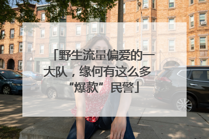 野生流量偏爱的一大队，缘何有这么多“爆款”民警