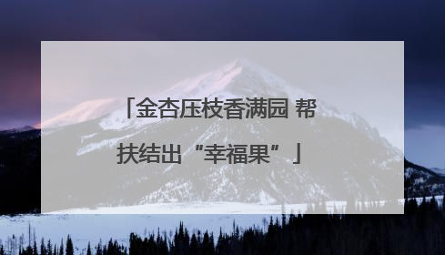 金杏压枝香满园 帮扶结出“幸福果”