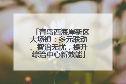青岛西海岸新区大场镇：多元联动、智治无忧，提升综治中心新效能