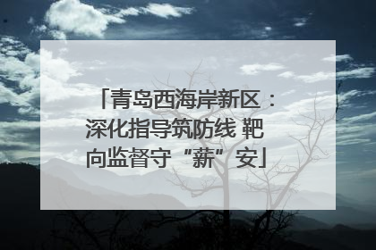青岛西海岸新区：深化指导筑防线 靶向监督守“薪”安