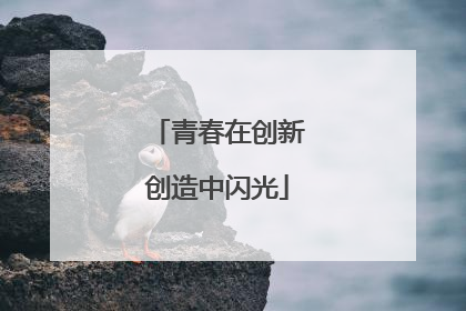 青春在创新创造中闪光