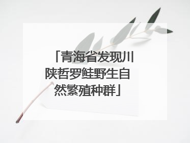青海省发现川陕哲罗鲑野生自然繁殖种群