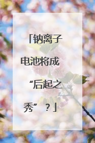 钠离子电池将成“后起之秀”？