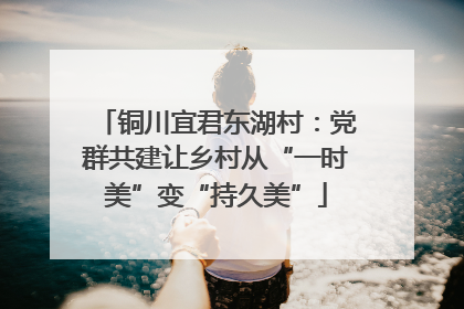 铜川宜君东湖村：党群共建让乡村从“一时美”变“持久美”
