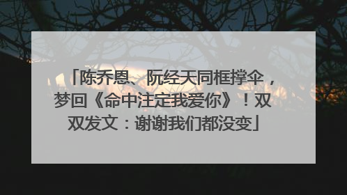 陈乔恩、阮经天同框撑伞，梦回《命中注定我爱你》！双双发文：谢谢我们都没变