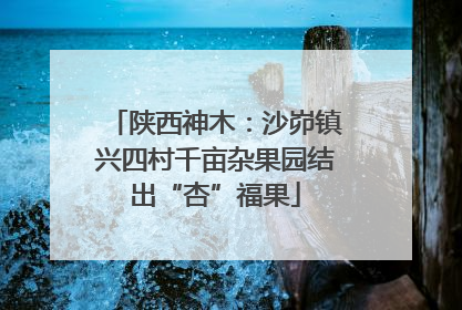 陕西神木：沙峁镇兴四村千亩杂果园结出“杏”福果