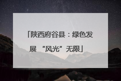 陕西府谷县：绿色发展 “风光”无限