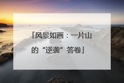风景如画：一片山的“逆袭”答卷