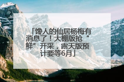 馋人的仙居杨梅有消息了！大棚版抢“鲜”开采，露天版预计要等6月