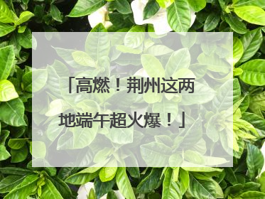 高燃！荆州这两地端午超火爆！