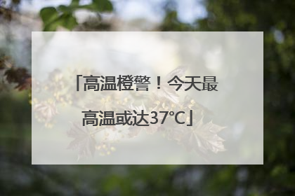 高温橙警！今天最高温或达37℃