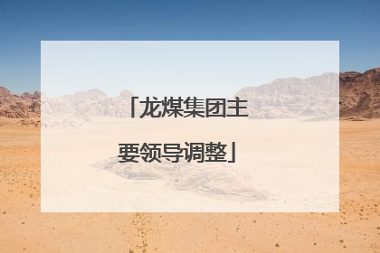 龙煤集团主要领导调整