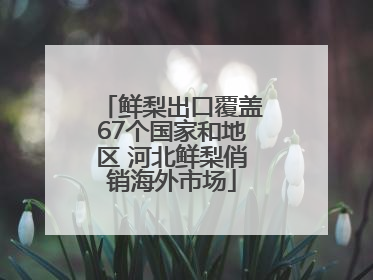 鲜梨出口覆盖67个国家和地区 河北鲜梨俏销海外市场