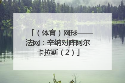 （体育）网球——法网：辛纳对阵阿尔卡拉斯（2）