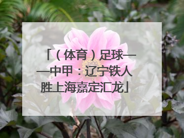 （体育）足球——中甲：辽宁铁人胜上海嘉定汇龙