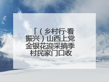 （乡村行·看振兴）山西上党金银花迎采摘季 村民家门口收获“致富花”
