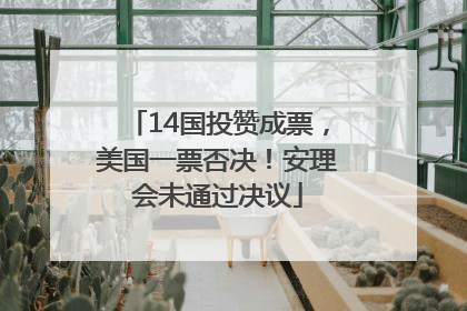 14国投赞成票，美国一票否决！安理会未通过决议