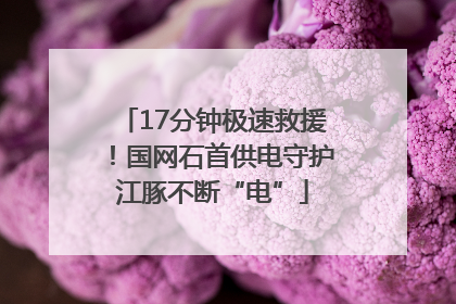 17分钟极速救援！国网石首供电守护江豚不断“电”
