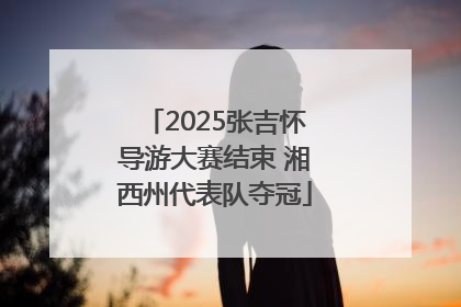2025张吉怀导游大赛结束 湘西州代表队夺冠