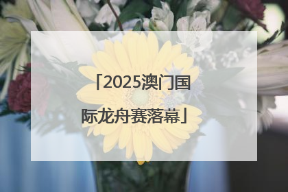 2025澳门国际龙舟赛落幕