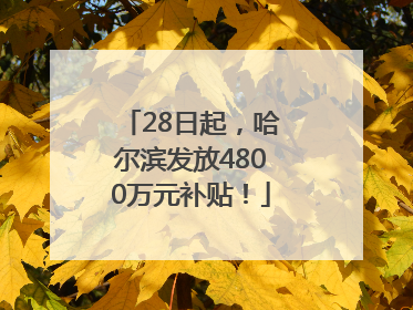 28日起，哈尔滨发放4800万元补贴！