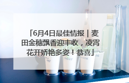 6月4日最佳情报｜麦田金穗飘香迎丰收，凌霄花开娇艳多姿！恭喜
