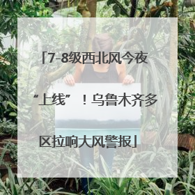 7-8级西北风今夜“上线”！乌鲁木齐多区拉响大风警报
