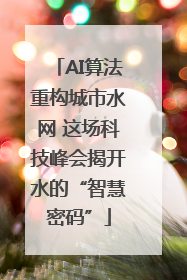 AI算法重构城市水网 这场科技峰会揭开水的“智慧密码”