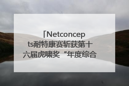Netconcepts耐特康赛斩获第十六届虎啸奖“年度综合服务商”大奖